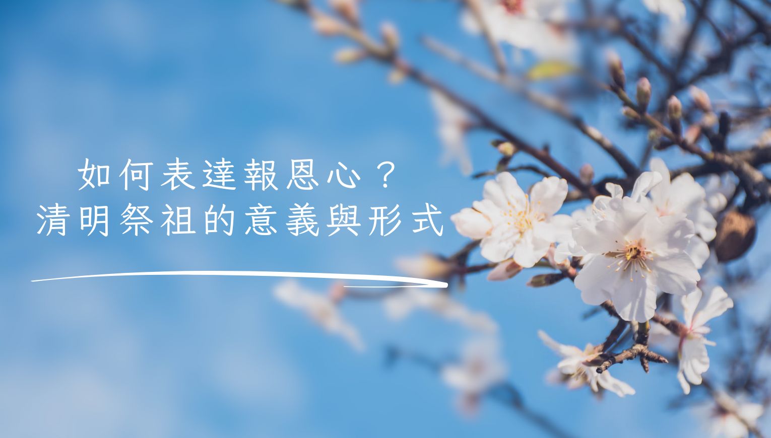 如何表達報恩心？清明祭祖的意義與形式