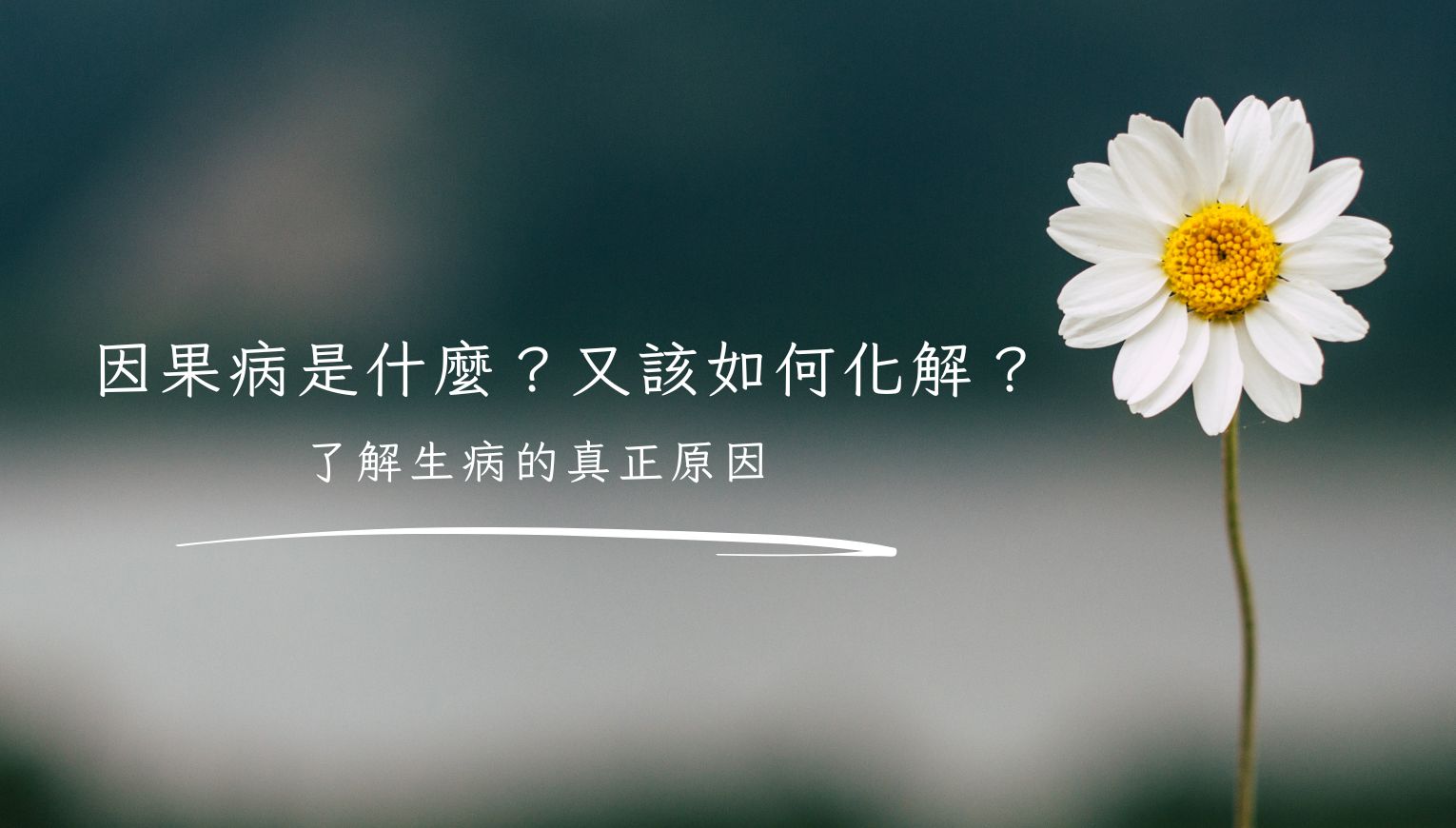 因果病是什麼？又該如何化解？