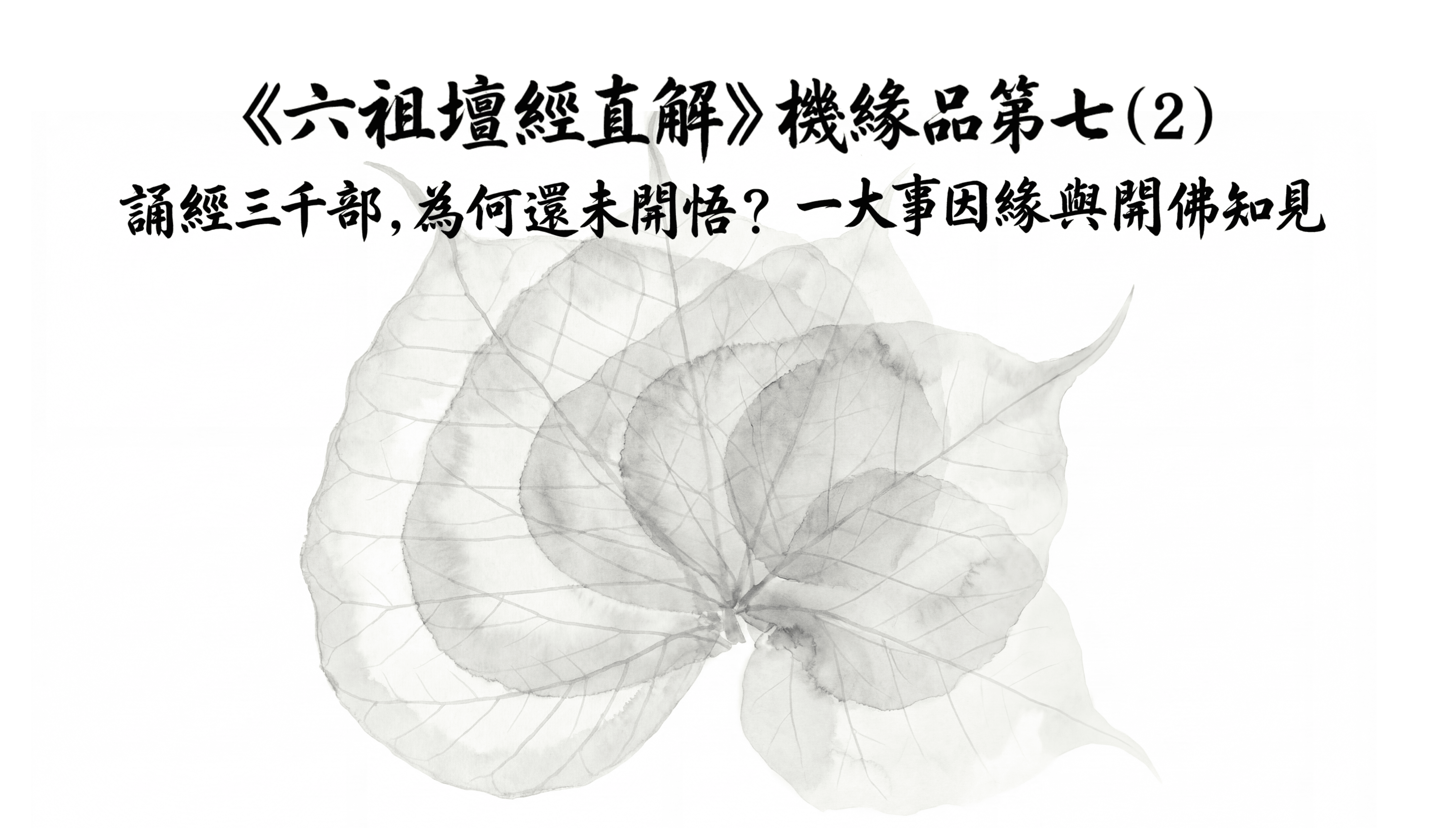 《六祖壇經直解》機緣品第七(2)  誦經三千部，為何還未開悟？一大事因緣與開佛知見