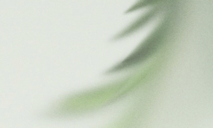 思想觀念導引一切