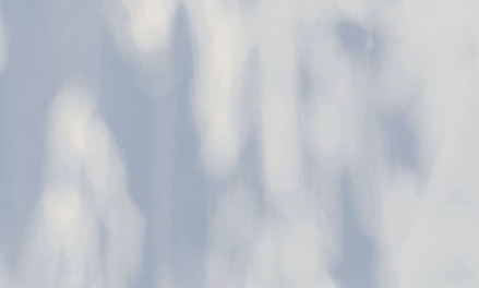 證本心